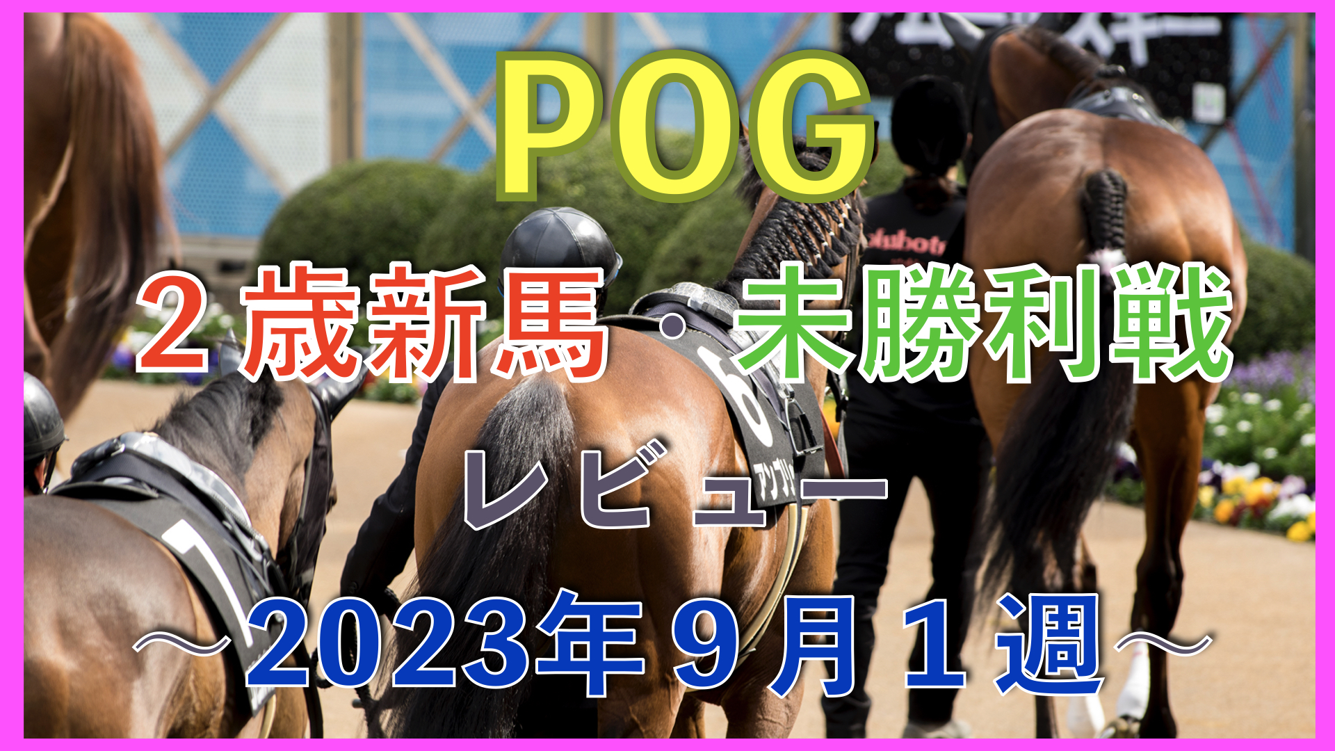【POG向け】２歳新馬・未勝利戦レビュー【2023年９月１週】 